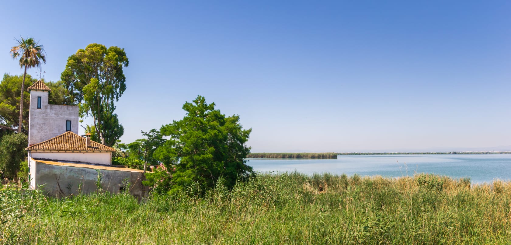 Albufera national park.