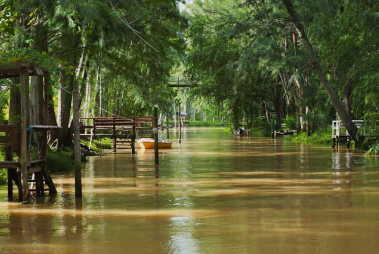 View of Tigre in Argentina