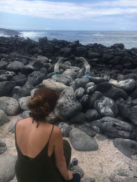 A student sitting on a rock, observing two birds.