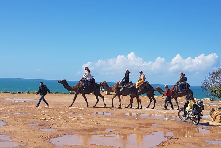 People on camels.