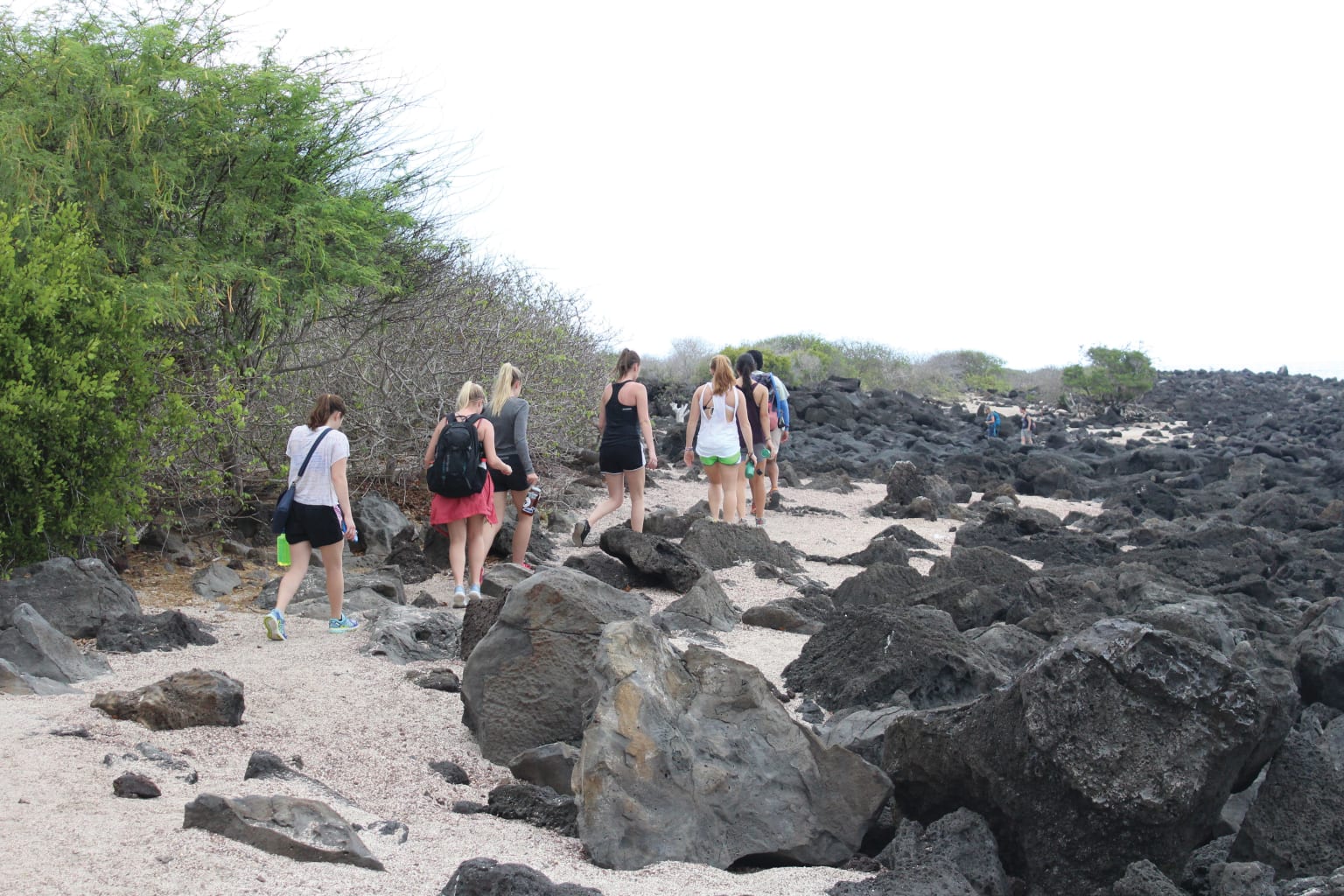 Group walking along a beach on Ecuador.