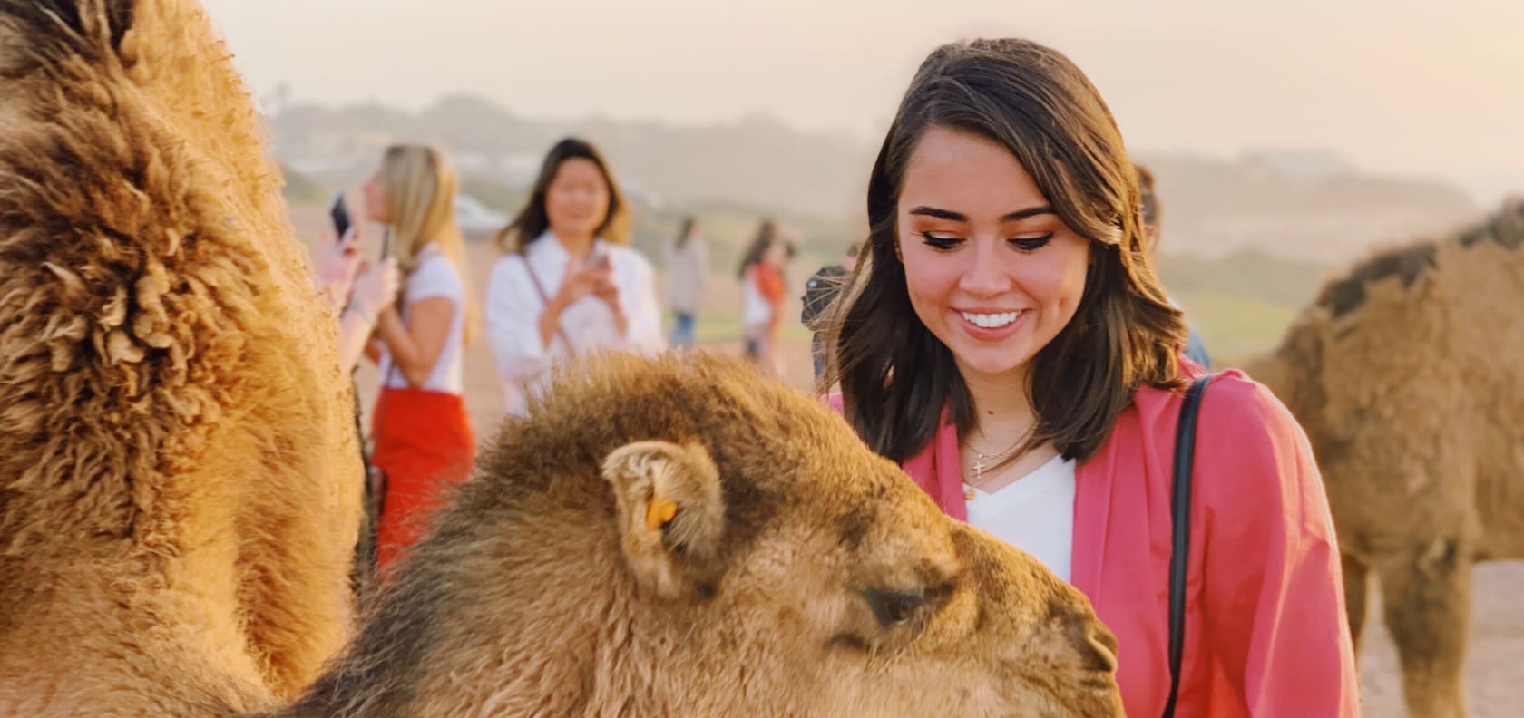 Girl with camel.