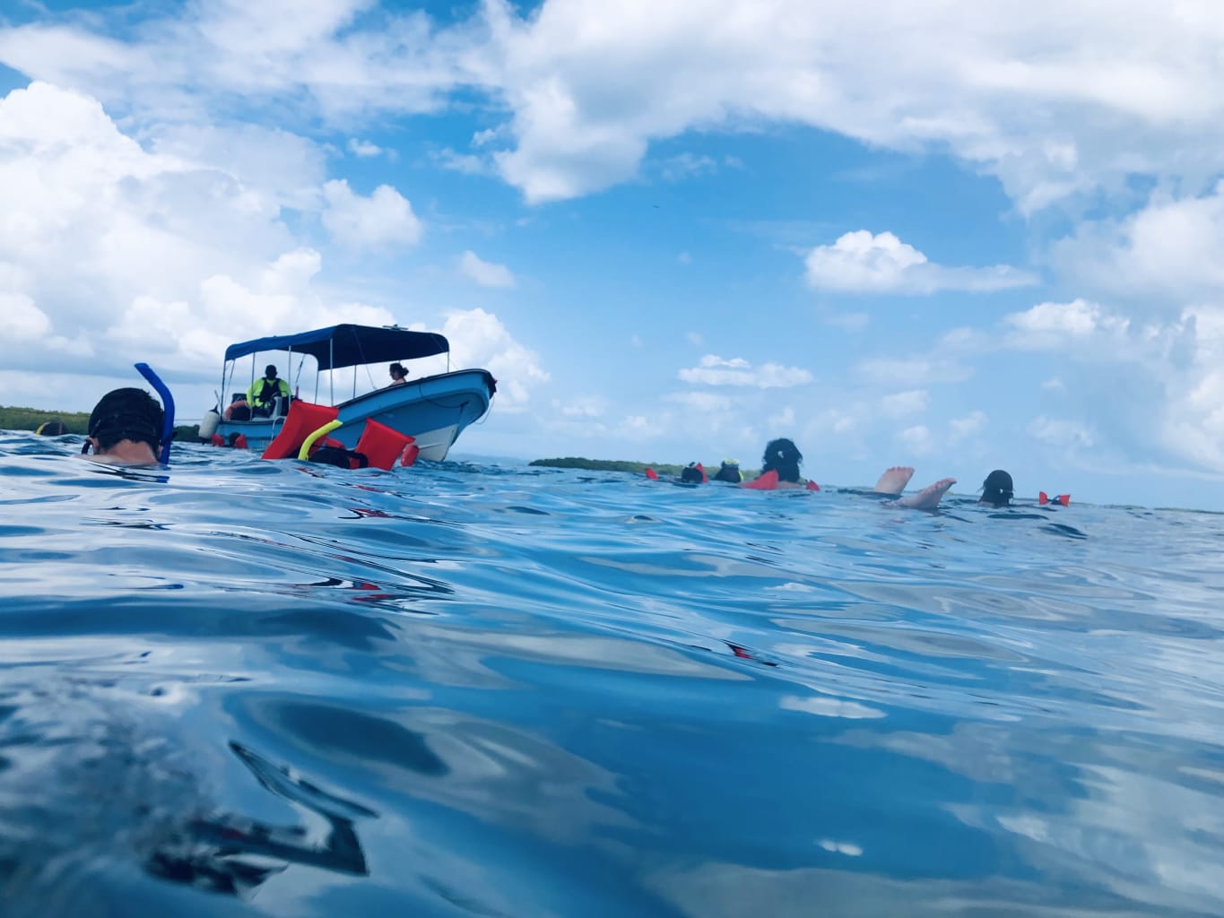 Boat with snorkelers.