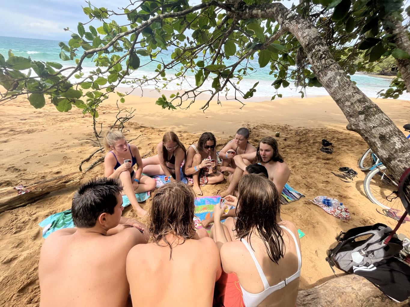 Kids on sand under a tree.