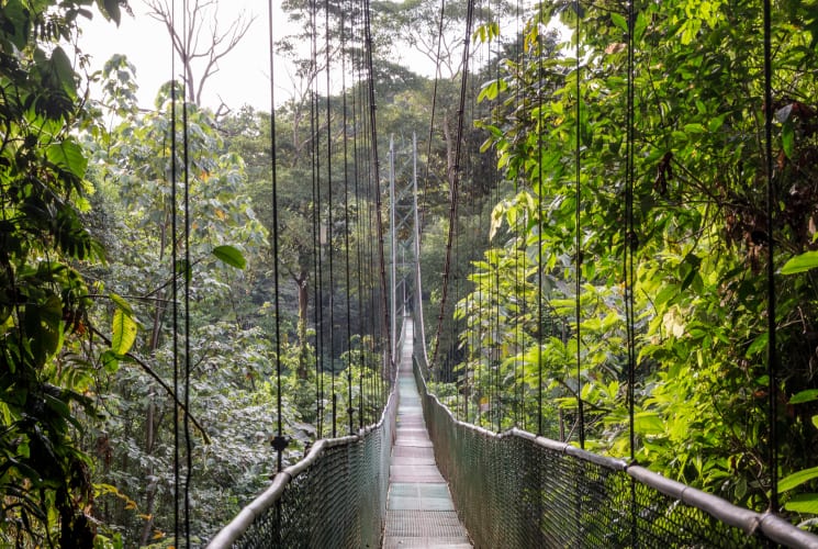 A footbridge in Sarapiquí.