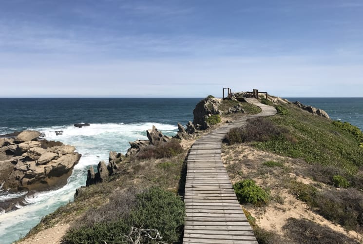 A path alongside the ocean and cliffs.