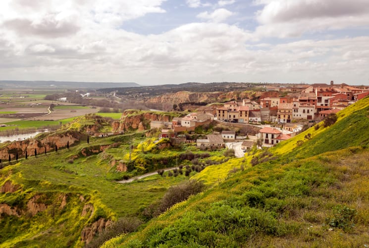 Toro aerial view.